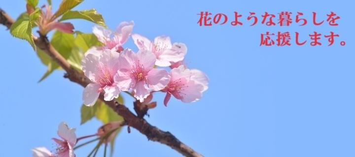 メイン画像桜文字付